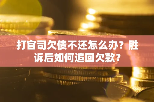 北京打官司欠债不还怎么办？胜诉后如何追回欠款？