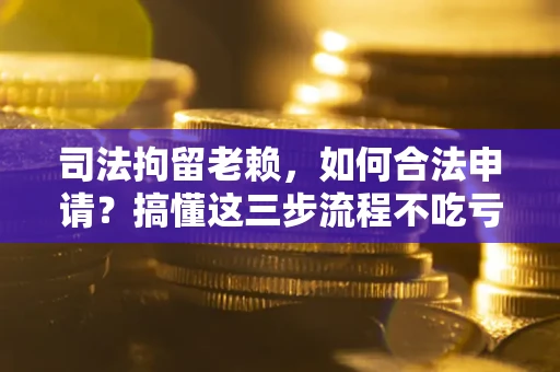 北京司法拘留老赖，如何合法申请？搞懂这三步流程不吃亏！