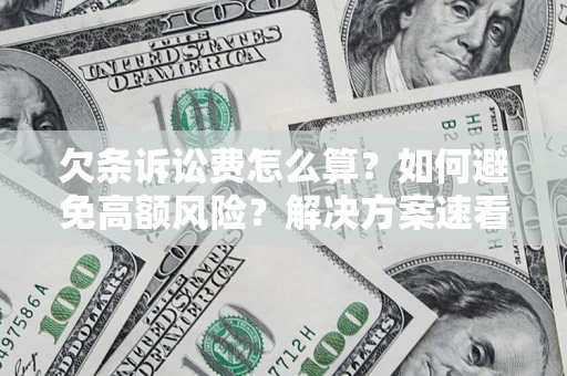 北京欠条诉讼费怎么算？如何避免高额风险？解决方案速看！