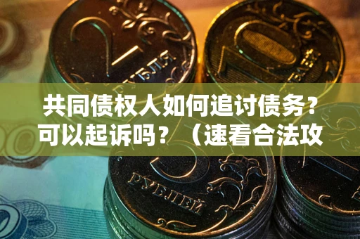 北京共同债权人如何追讨债务？可以起诉吗？（速看合法攻略）
